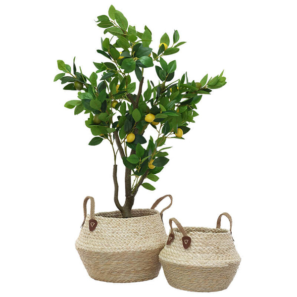 Cream & Beige set of 2 baskets