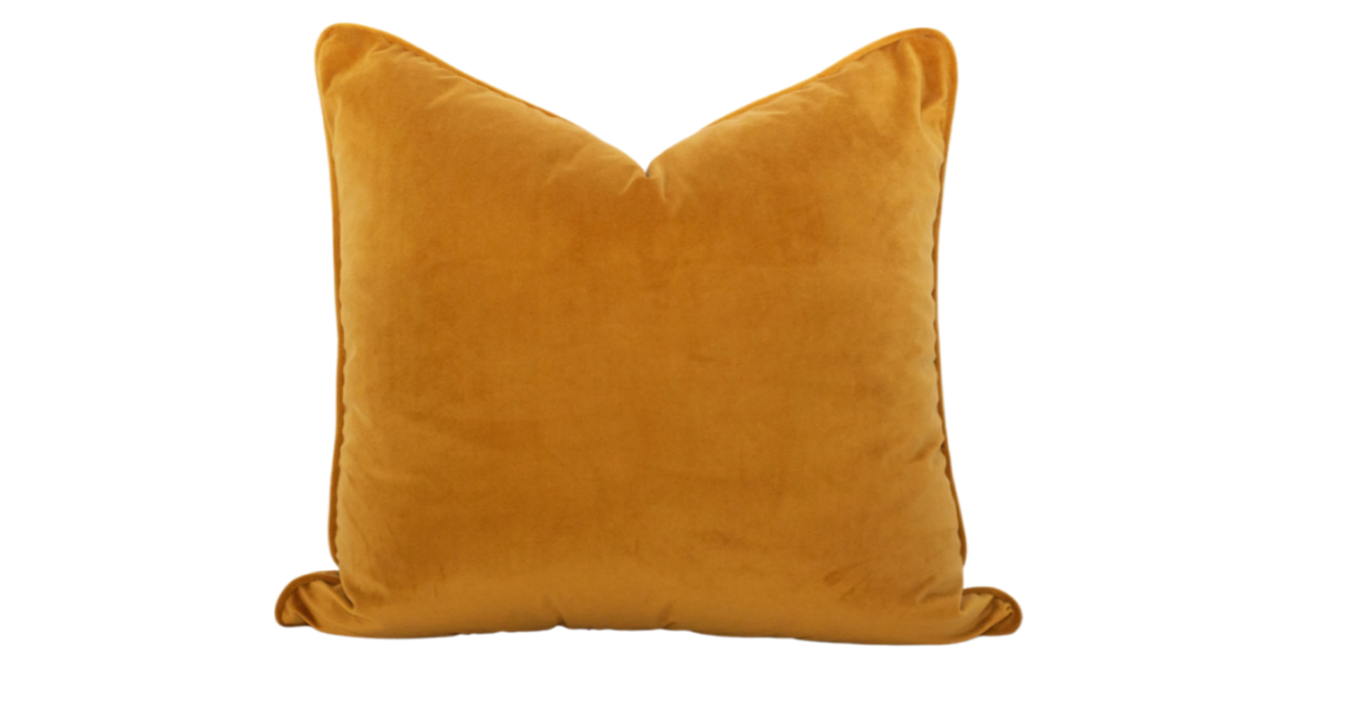 Mustard Cushion